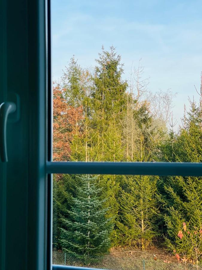 Apartment "Le Briand" Charming Base For Your Sightseeing In Touraine Noizay Eksteriør billede